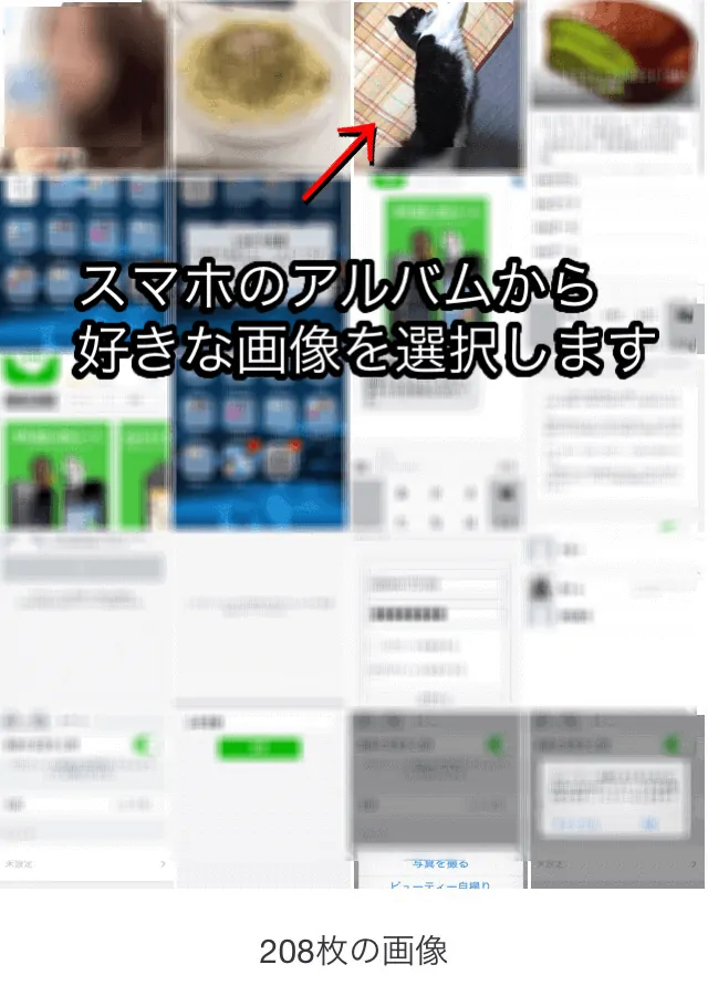 画像6